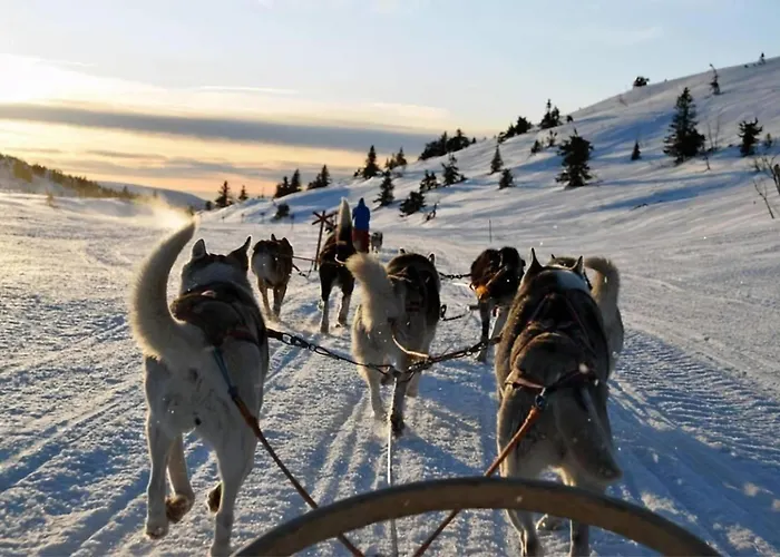 Arctic Aurora I Sauna I Family & Groups